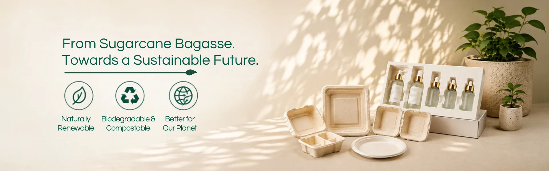 Celvion - From Sugarcane Bagasse Towards a Sustainable Future