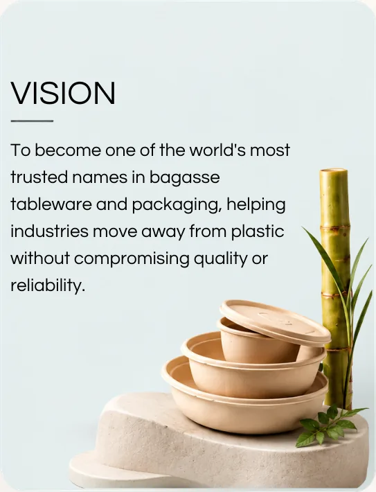 VISION