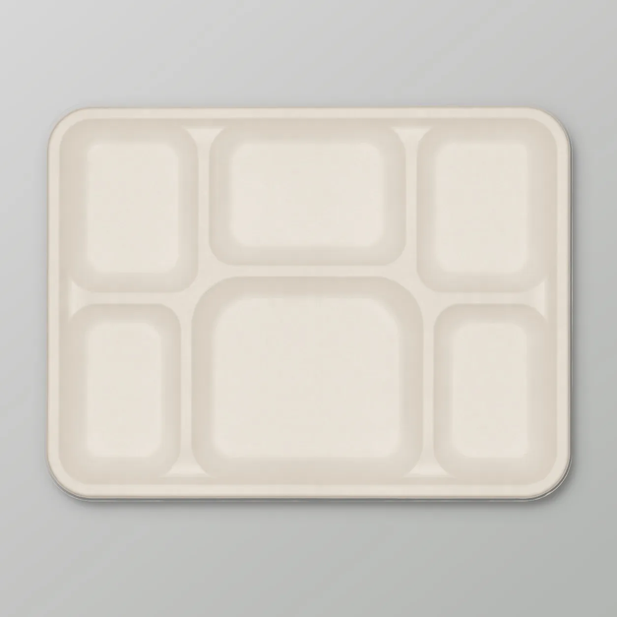 6CP Meal Tray